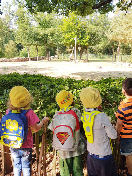 Vier Kinder stehen vor einem Giraffengehege und drehen der Kamera dabei den Rücken zu. Drei davon tragen gelbe Hüte mit der Aufschrift "Kita Terrabia".